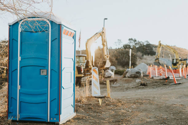 Best Portable Toilets with Baby Changing Stations  in Skyline Ganipa, NM